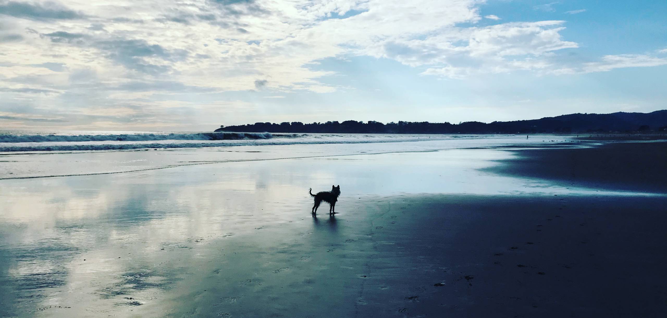 Highway One Properties Stinson Beach Vacation Rentals